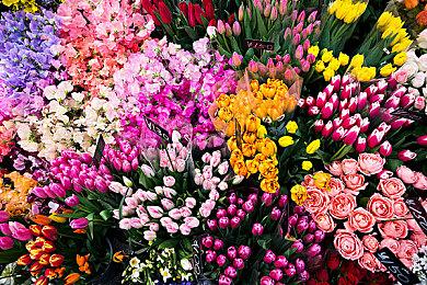 万代南梦宫Online在日注册Blue Bullet Pride商标