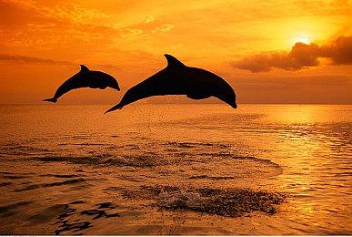 3A级画质！第一人称动作RPG《命运守护者》公布